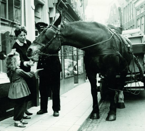 In de Hoogstraat